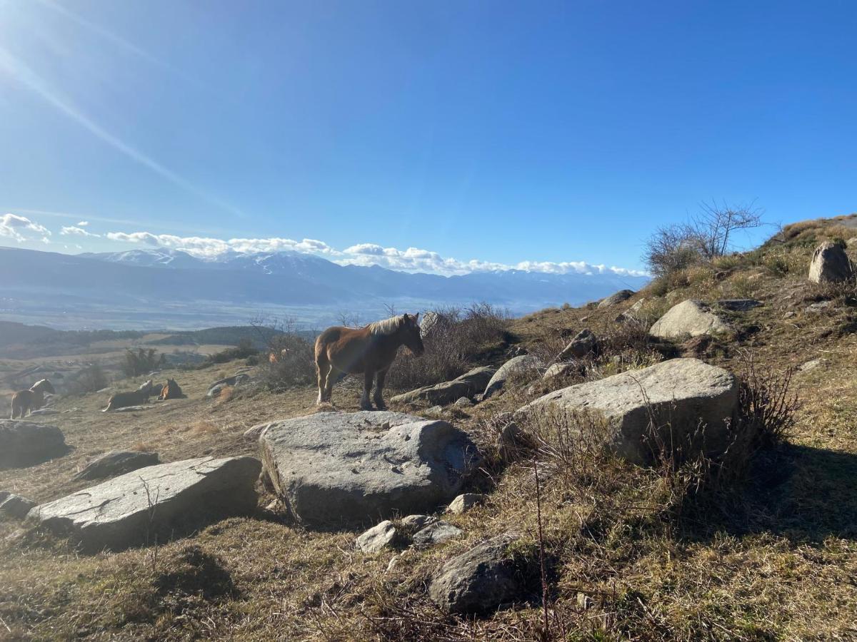 Gite Des Ours Osséja Dış mekan fotoğraf